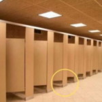 E dini pse dyert në tualete publike nuk arrijnë në dysheme?