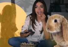 Dëshironi të jeni më të lumtur? Këta janë dokumentarët që duhet të shikoni