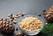 Vlerat çudibërëse të stikave të pishës në organizëm