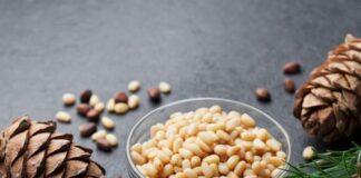 Vlerat çudibërëse të stikave të pishës në organizëm